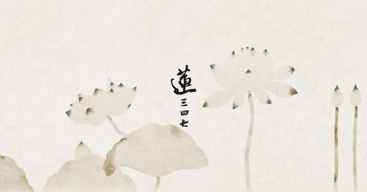 蓮